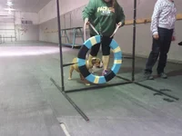 20140930_192328.webp 20140930_192328.webp