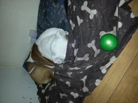 20140425_103011.webp