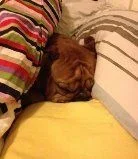 finnwakeup.webp
