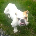 lucylu2.webp