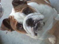 20140429_080610.jpg 20140429_080610.jpg