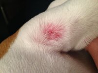 IMG_2620.jpg IMG_2620.jpg