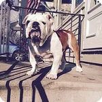 Grover.webp