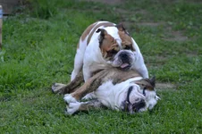 DSC_0078.webp