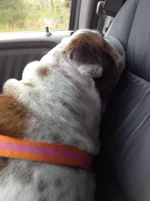 Mia May 013.webp Mia May 013.webp
