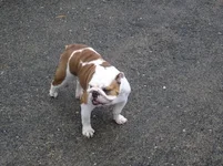 berry16mo.webp