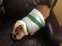 harvey 08.webp