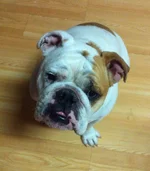 Riley.webp