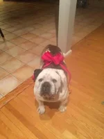 Winston.webp