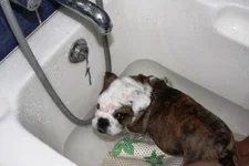 IMG_0147.webp IMG_0147.webp
