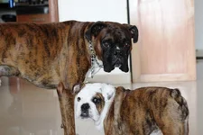 IMG_0171.webp IMG_0171.webp