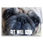 getwell.webp