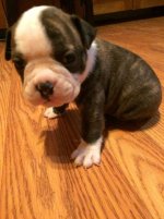 IMG_2082.jpg IMG_2082.jpg
