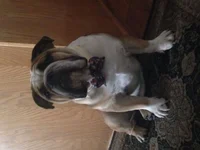 image.webp