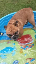 20150714_135833.webp