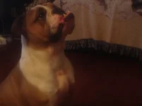 image.webp