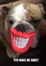 smile.webp