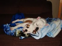 image.webp