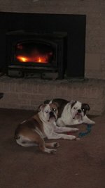 IMG_1968 (450x800).jpg