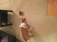 image.jpeg image.jpeg
