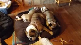 DSCF5274.webp