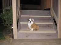 4-8-11 (6).webp