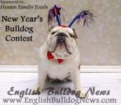 011 redwhiteandbulldogs copy.jpg