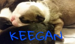image.jpeg image.jpeg
