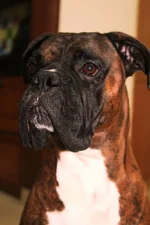 IMG_0053.webp IMG_0053.webp