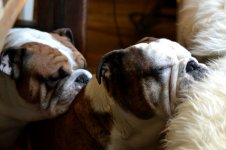 DSC_0712.jpg DSC_0712.jpg