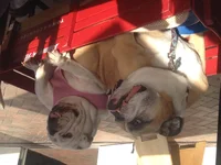 image.webp