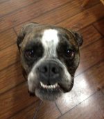 cache_4211428917.jpg cache_4211428917.jpg