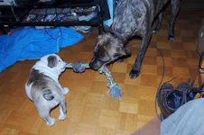 010.webp