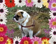 Martha.webp