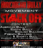 STACK OFF BANNER NEW .webp