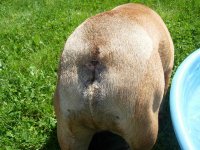 16 days.jpg 16 days.jpg