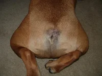 32 after surgery.webp 32 after surgery.webp