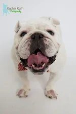 Titus.webp