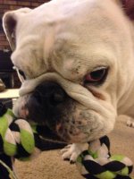 IMG_3798.jpg IMG_3798.jpg