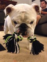 IMG_3801.jpg IMG_3801.jpg