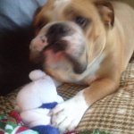 Otis with snowman.jpg