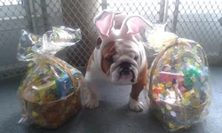 2012-04-03 12.50.54.webp