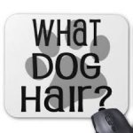 doghair6.jpg