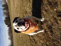 image.webp