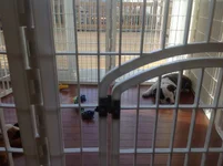 image.webp