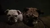 2014-03-18 001 003.webp