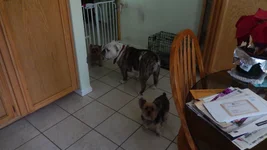 DSCN0873.webp