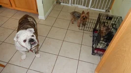 DSCN0874.webp