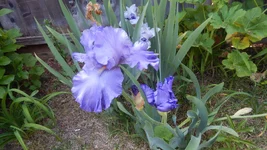 DSCN0875.webp