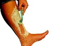 shave.webp